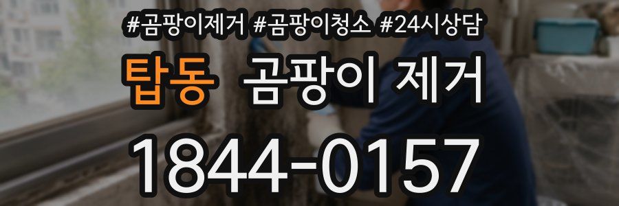 탑동 곰팡이 제거
