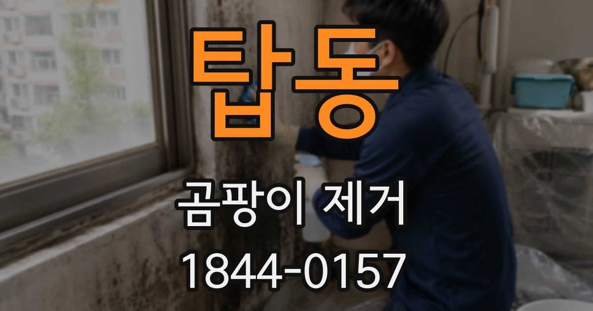 탑동 곰팡이 제거