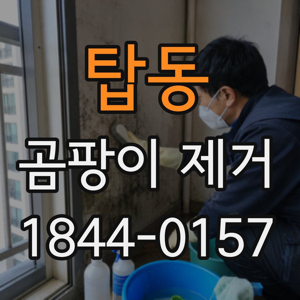 탑동 곰팡이 제거
