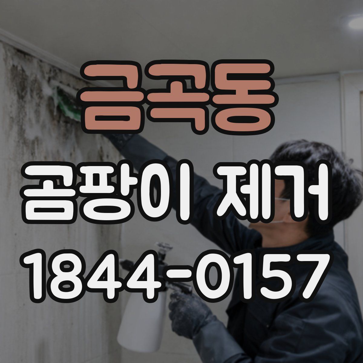 금곡동 곰팡이 제거