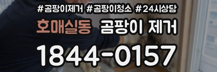 호매실동 곰팡이 제거