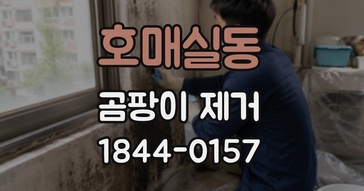 호매실동 곰팡이 제거