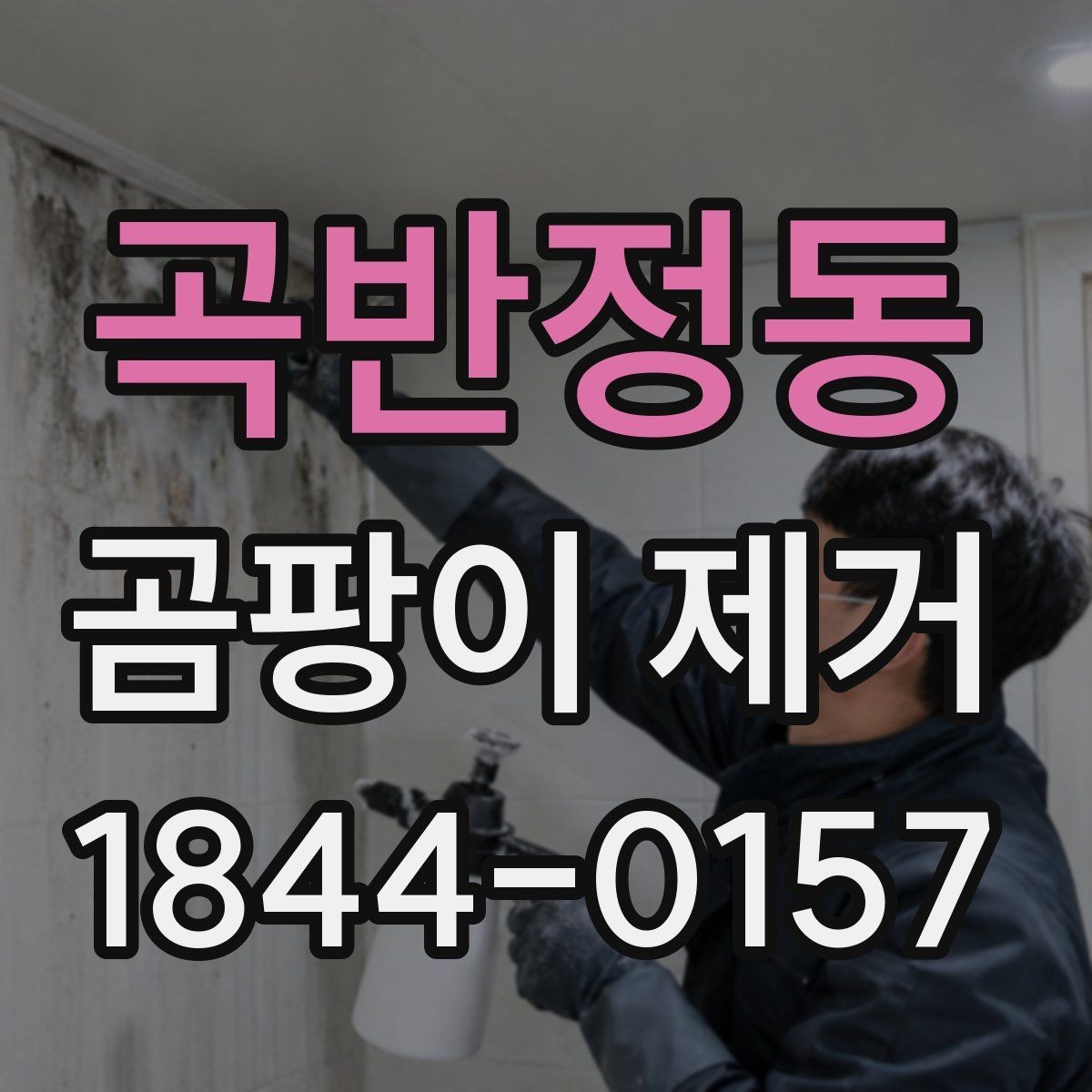 곡반정동 곰팡이 제거 실내 공기 순환까지 고려한 처리법