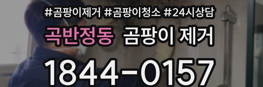 곡반정동 곰팡이 제거