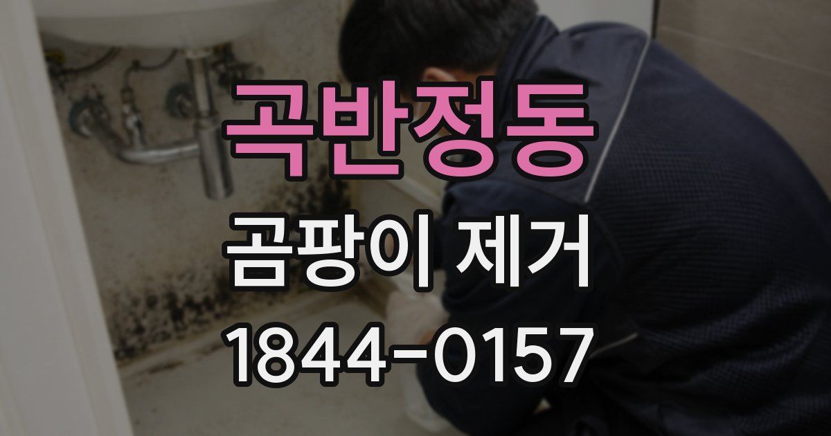 곡반정동 곰팡이 제거