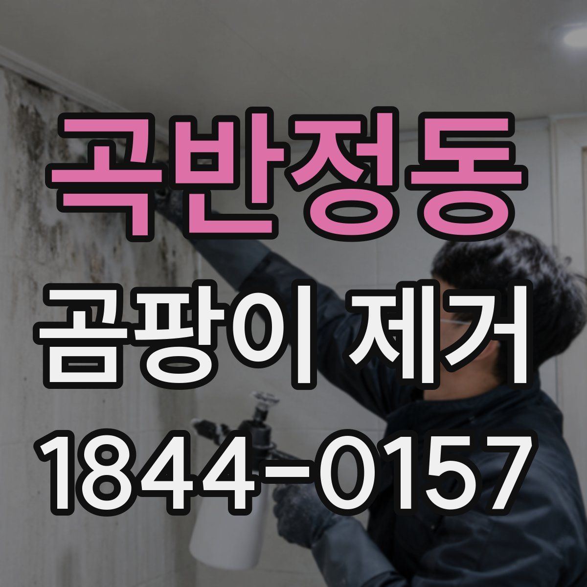 곡반정동 곰팡이 제거