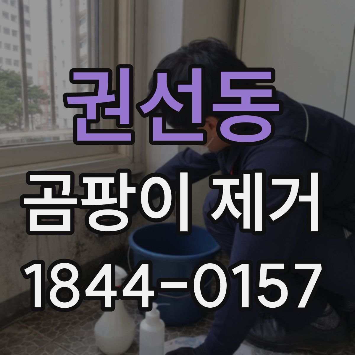 권선동 곰팡이 제거