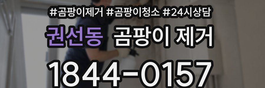 권선동 곰팡이 제거