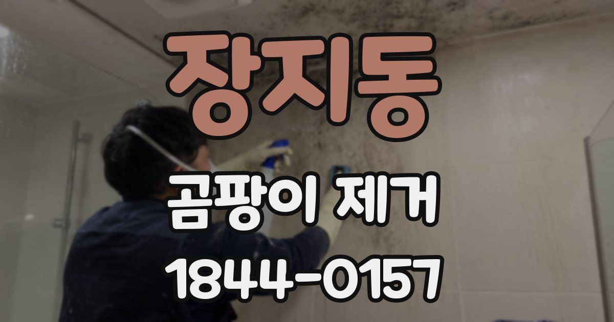 장지동 곰팡이 제거