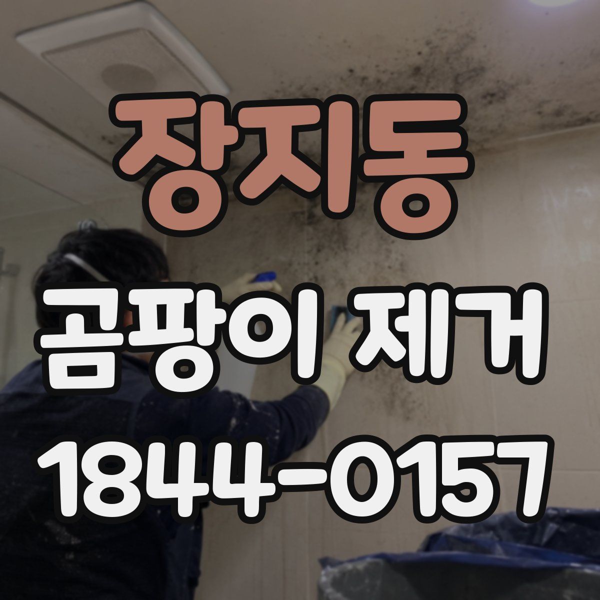 장지동 곰팡이 제거