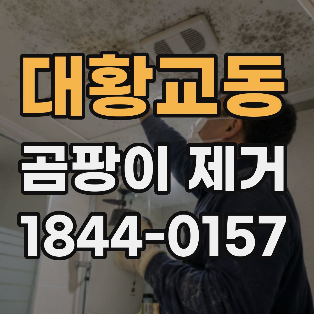 대황교동 곰팡이 제거