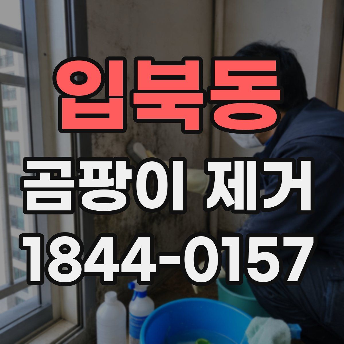 입북동 곰팡이 제거