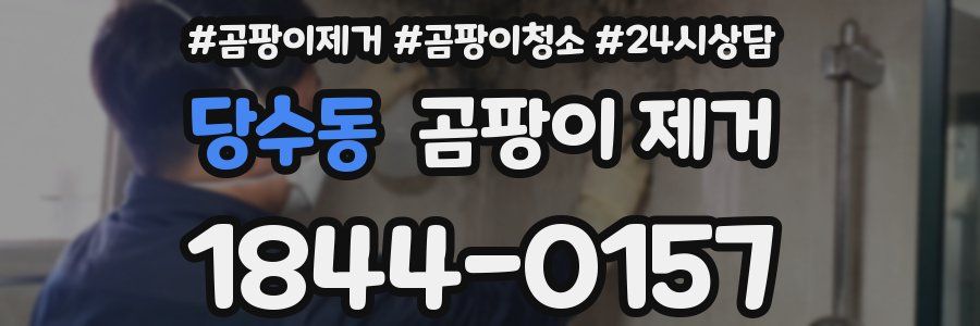 당수동 곰팡이 제거