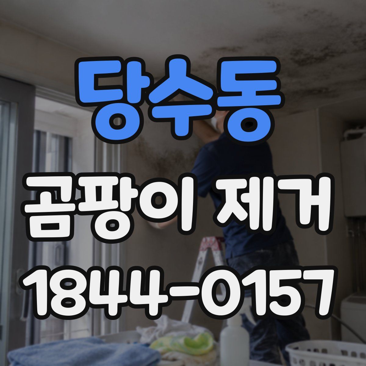 당수동 곰팡이 제거