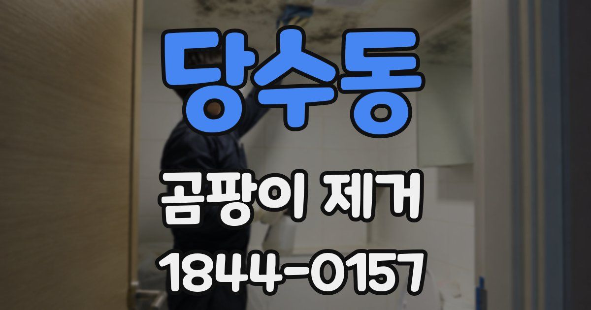 당수동 곰팡이 제거