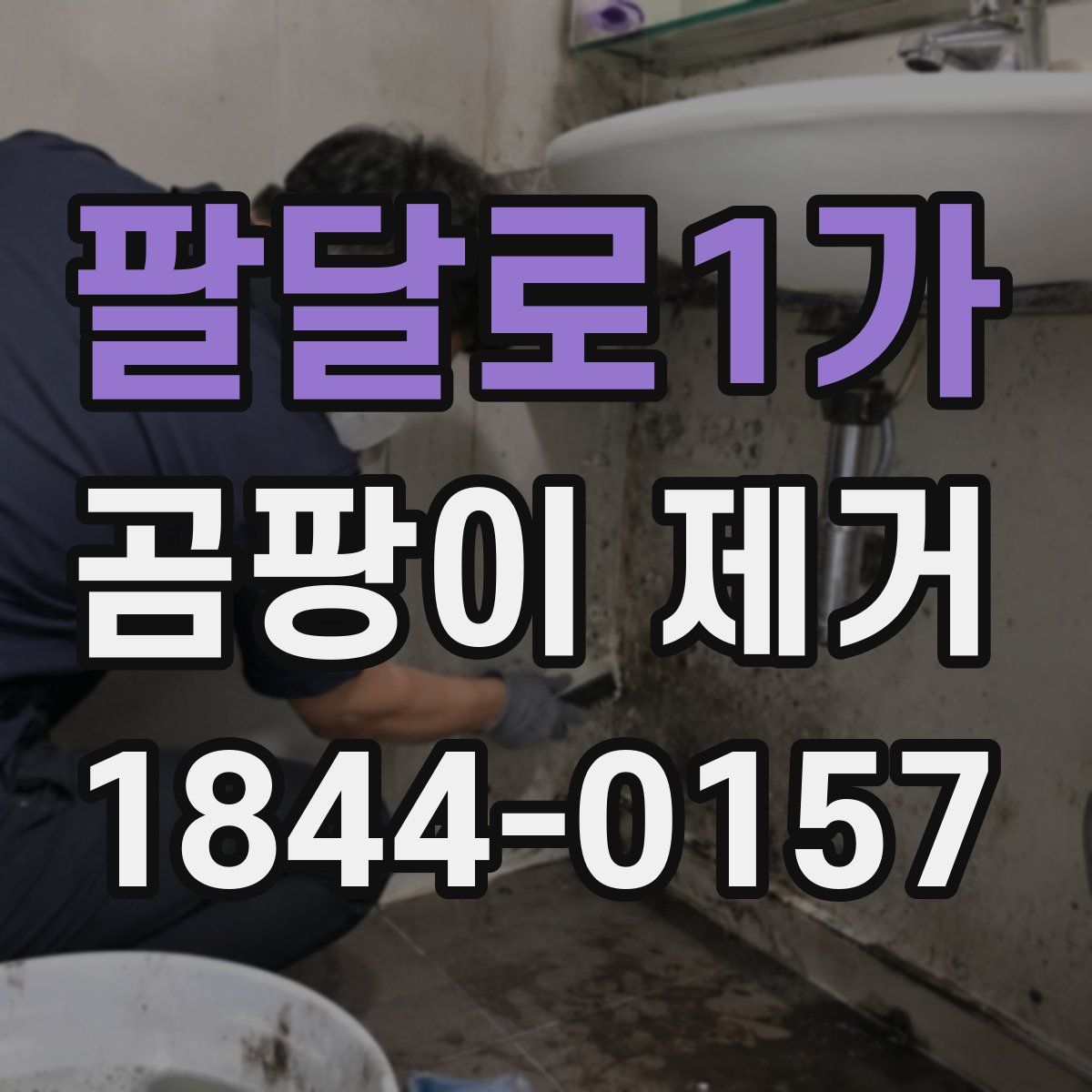 팔달로1가 곰팡이 제거