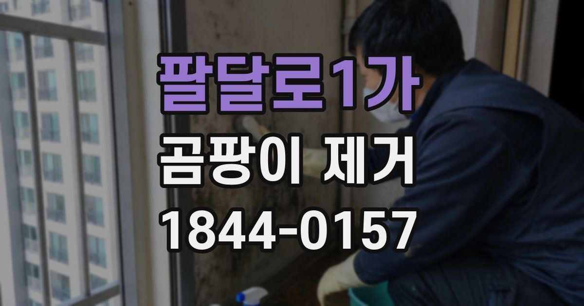 팔달로1가 곰팡이 제거