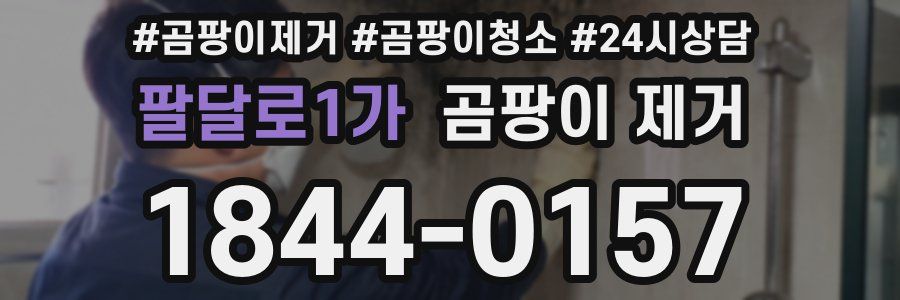 팔달로1가 곰팡이 제거
