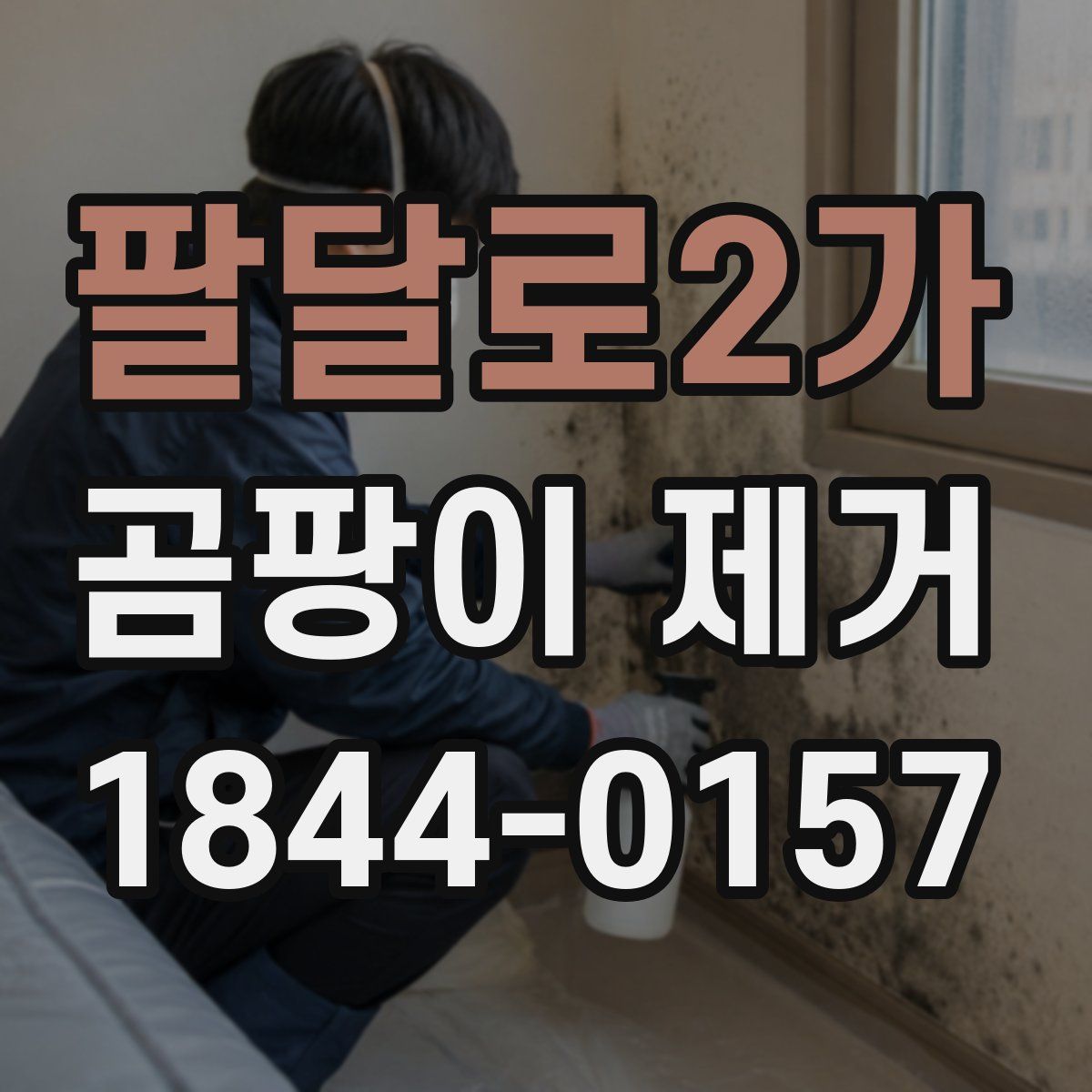 팔달로2가 곰팡이 제거