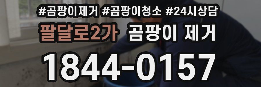 팔달로2가 곰팡이 제거