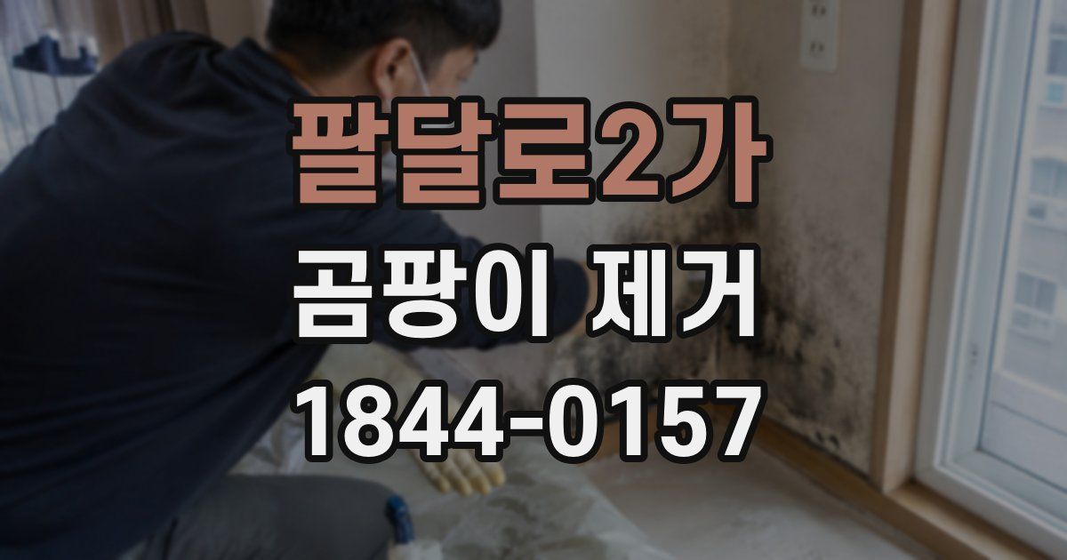 팔달로2가 곰팡이 제거