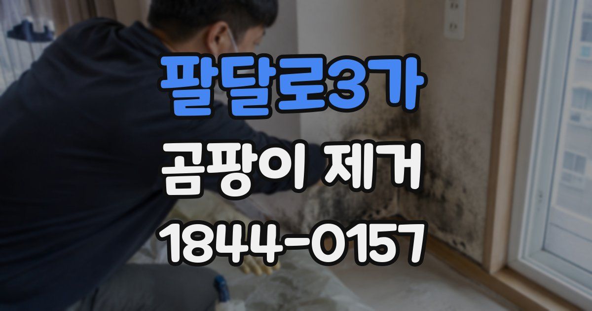 팔달로3가 곰팡이 제거