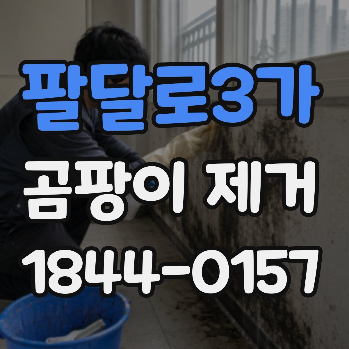 팔달로3가 곰팡이 제거