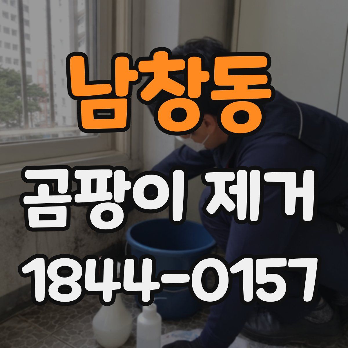 남창동 곰팡이 제거