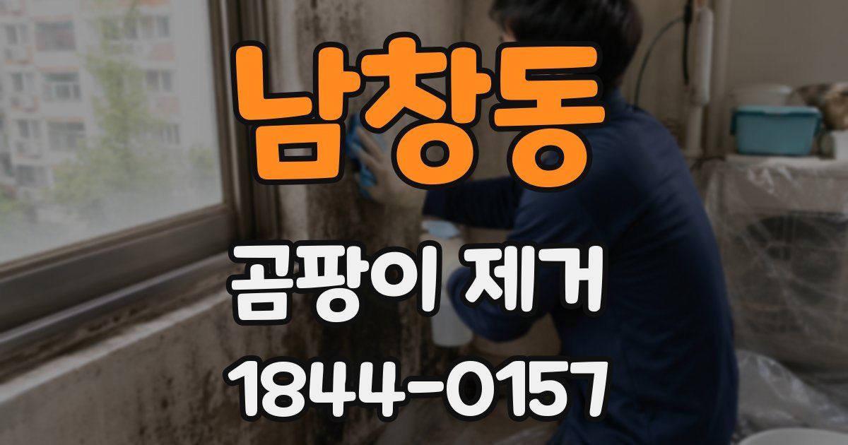 남창동 곰팡이 제거