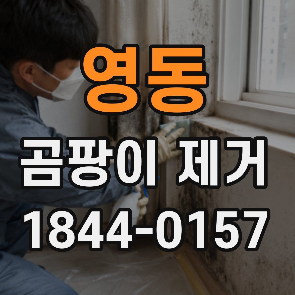 영동 곰팡이 제거 세입자와 집주인 책임을 나누는 기준