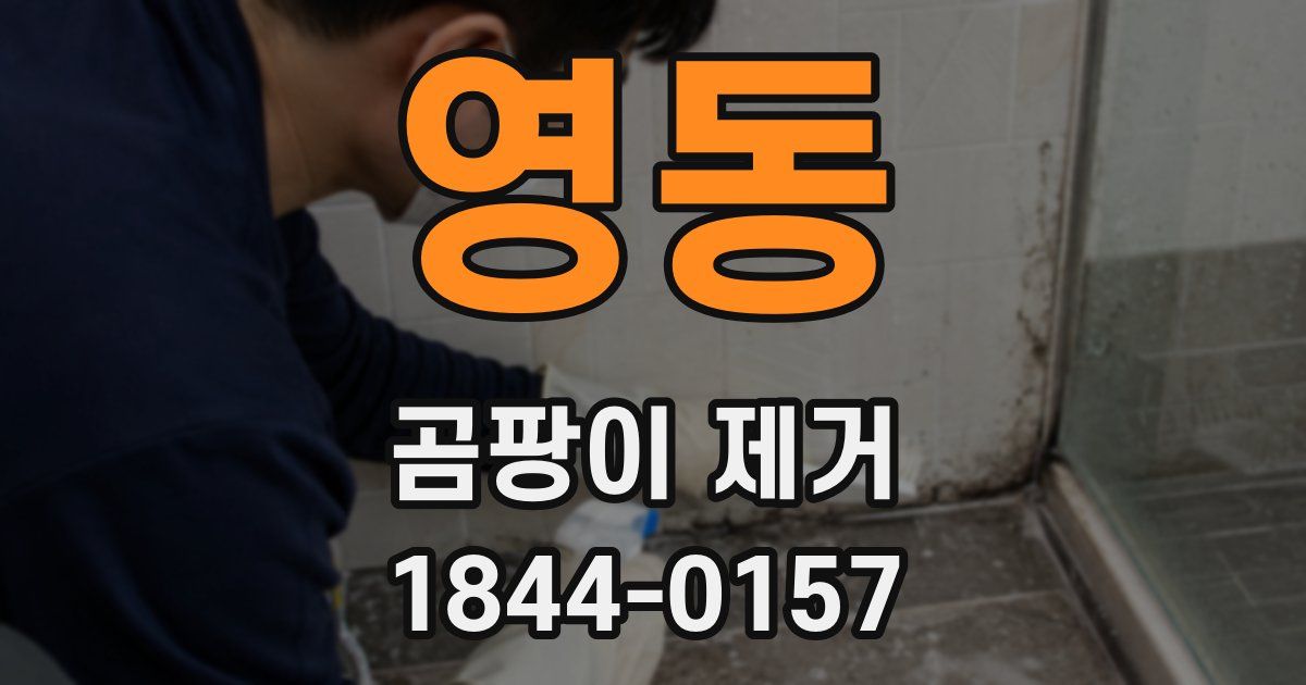 영동 곰팡이 제거
