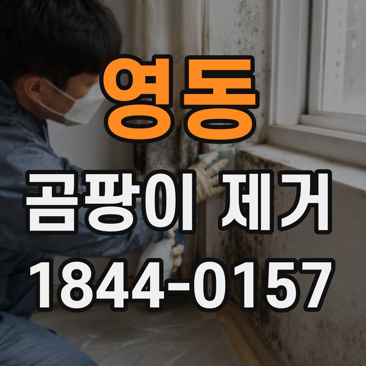 영동 곰팡이 제거