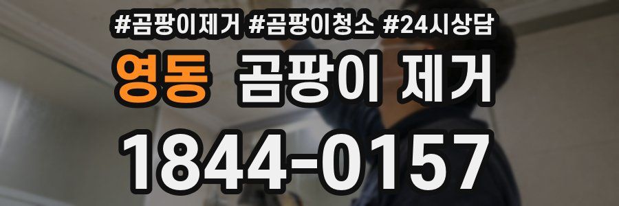영동 곰팡이 제거