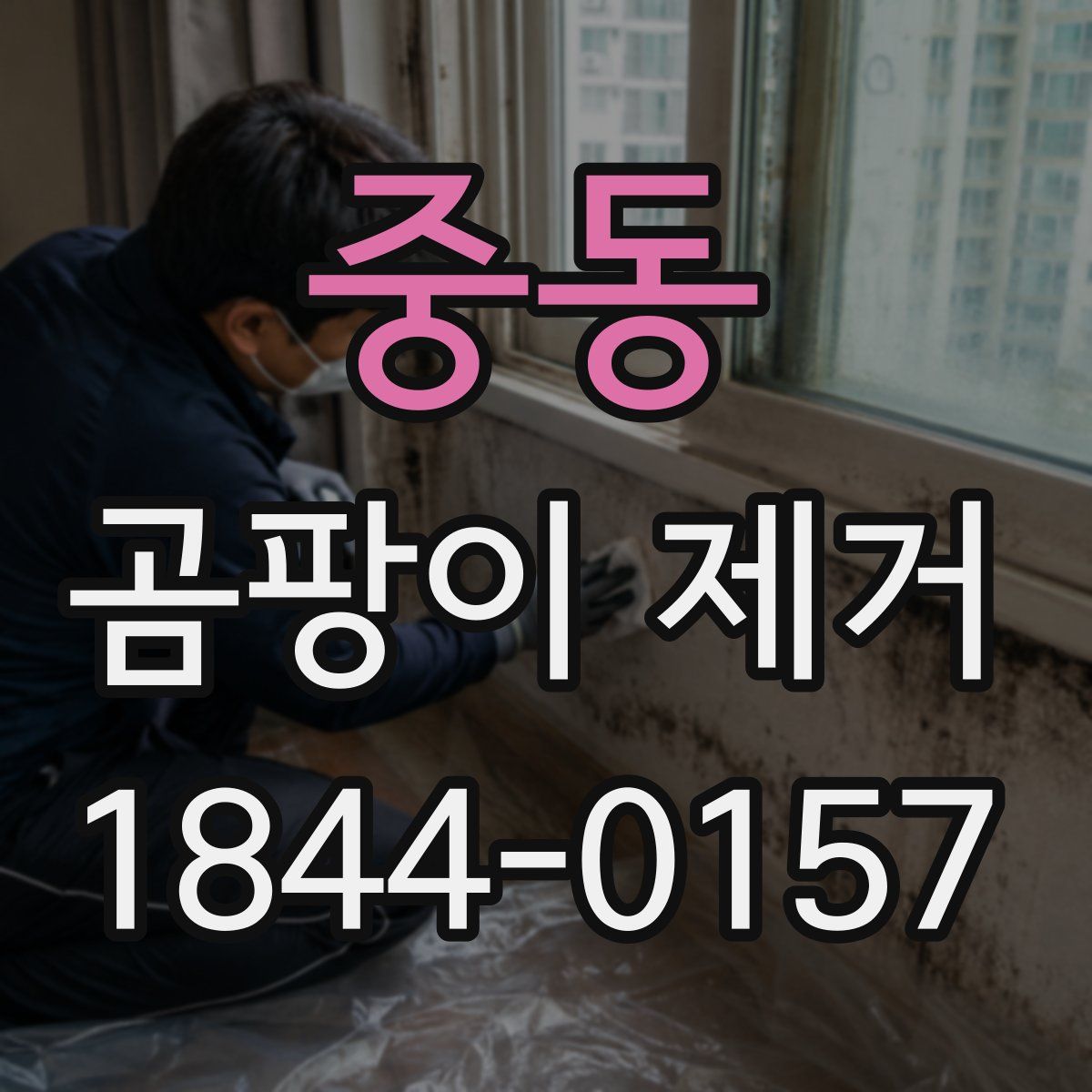 중동 곰팡이 제거