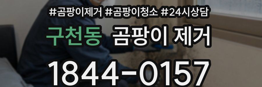 구천동 곰팡이 제거