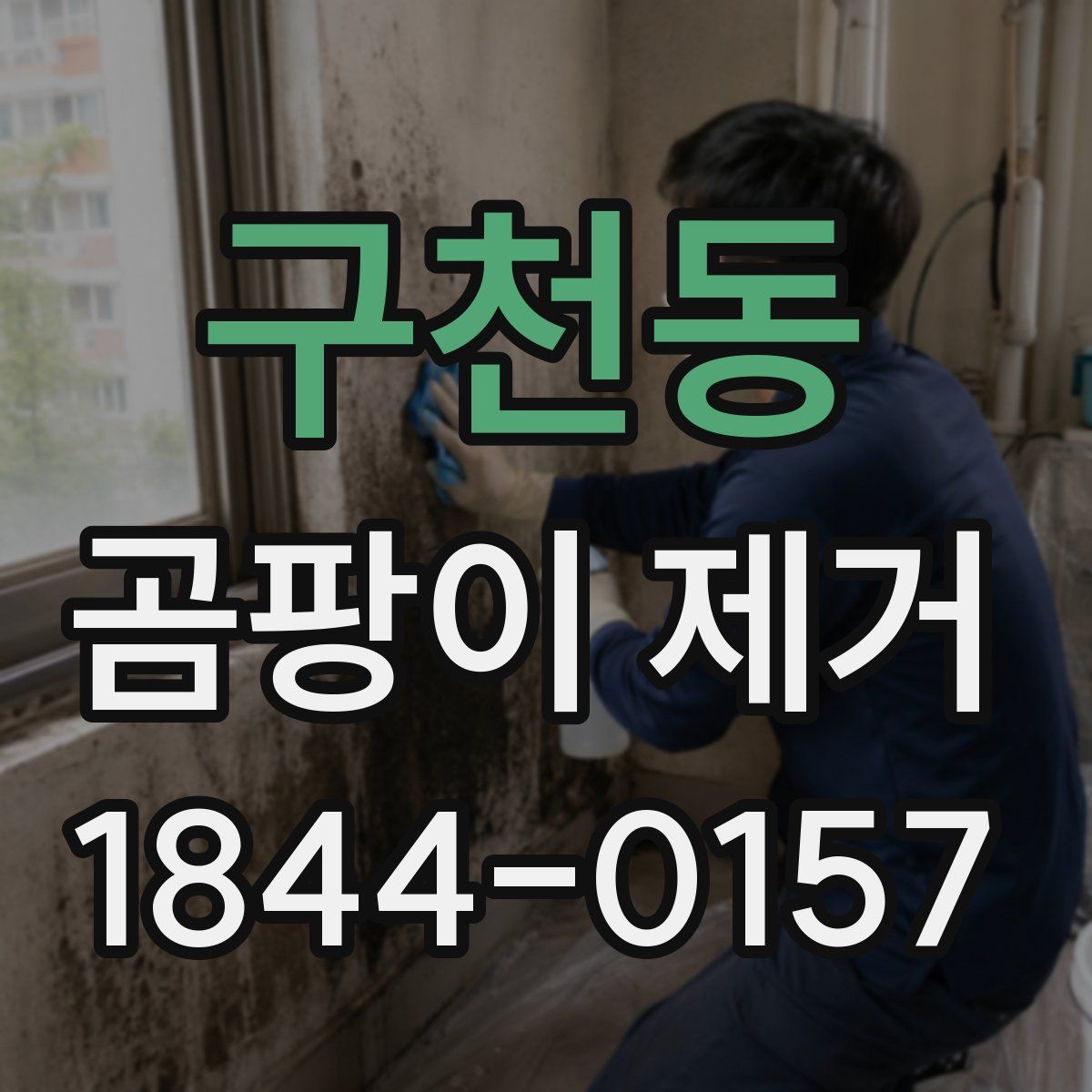 구천동 곰팡이 제거