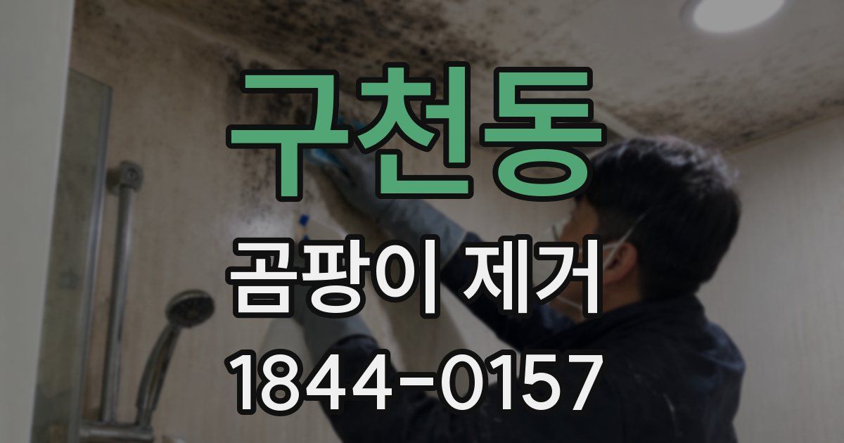구천동 곰팡이 제거