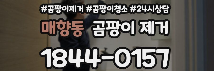 매향동 곰팡이 제거