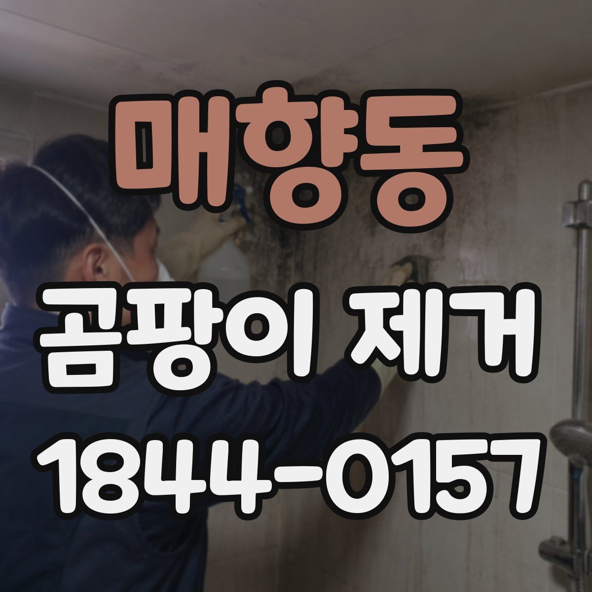매향동 곰팡이 제거