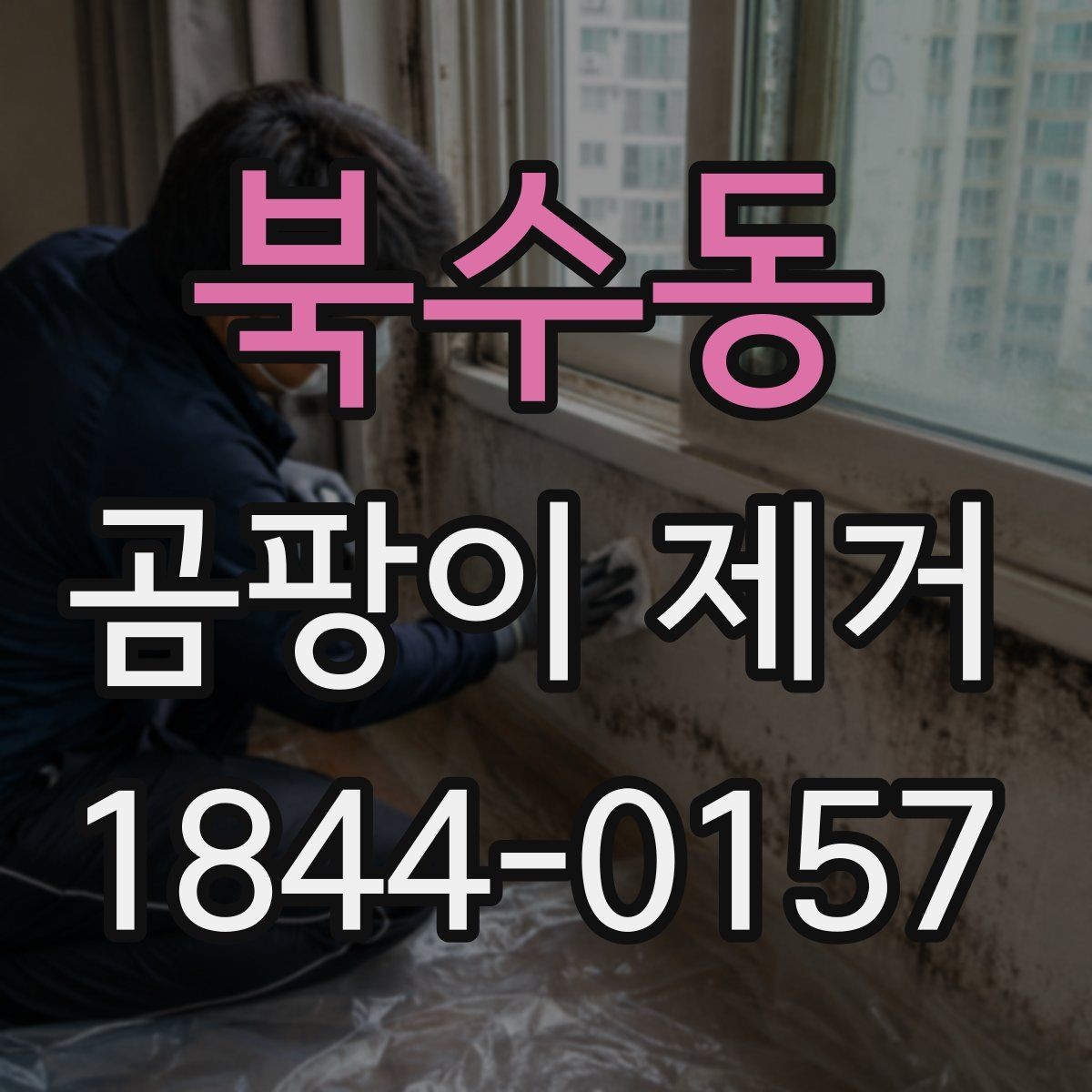 북수동 곰팡이 제거 벽지 손상 줄이며 진행하는 청소 순서