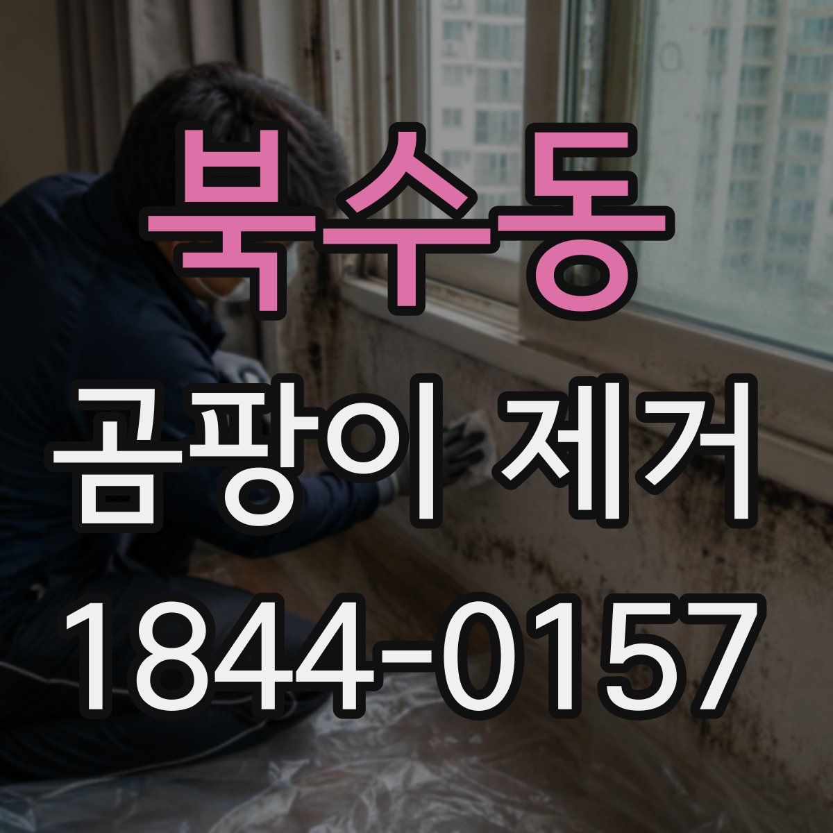 북수동 곰팡이 제거
