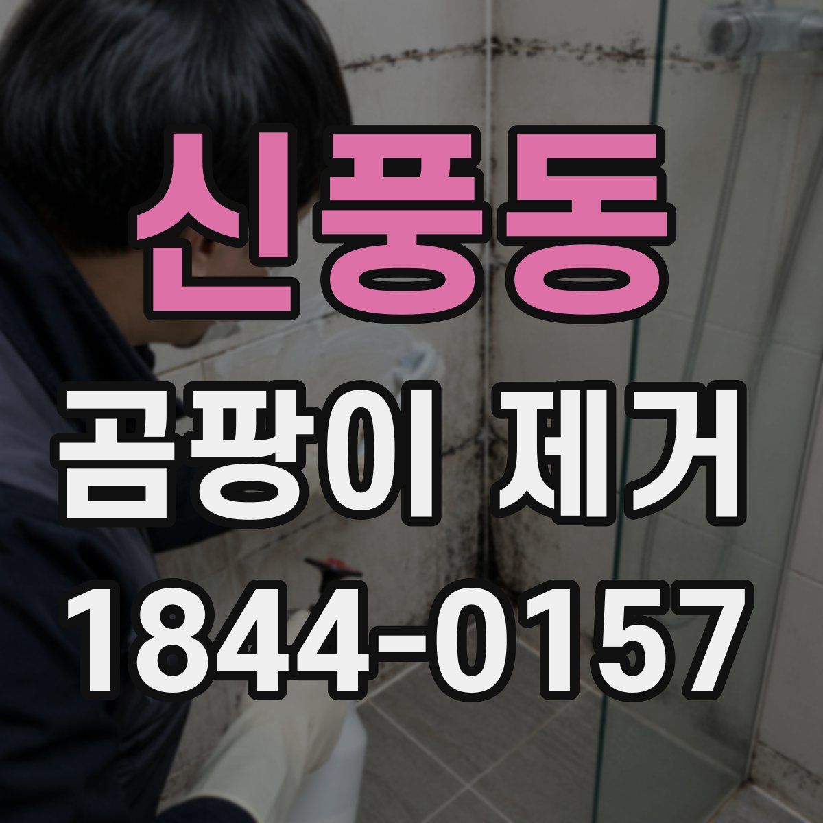 신풍동 곰팡이 제거
