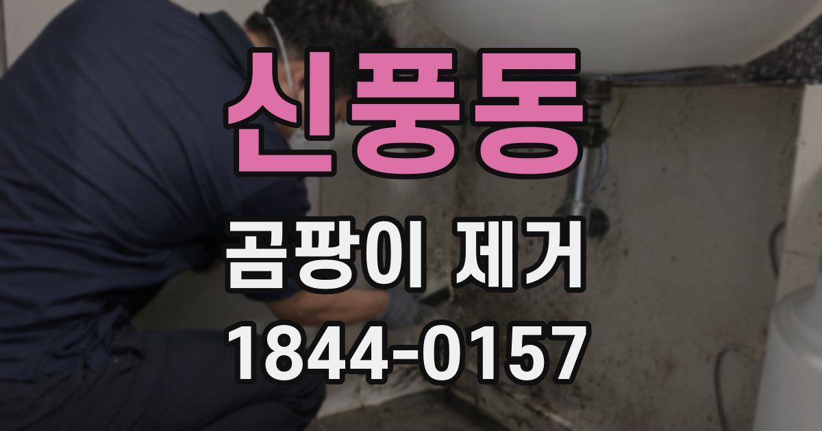 신풍동 곰팡이 제거
