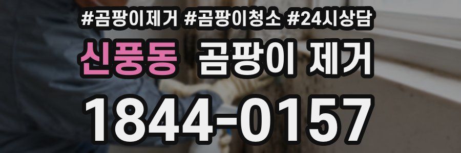 신풍동 곰팡이 제거