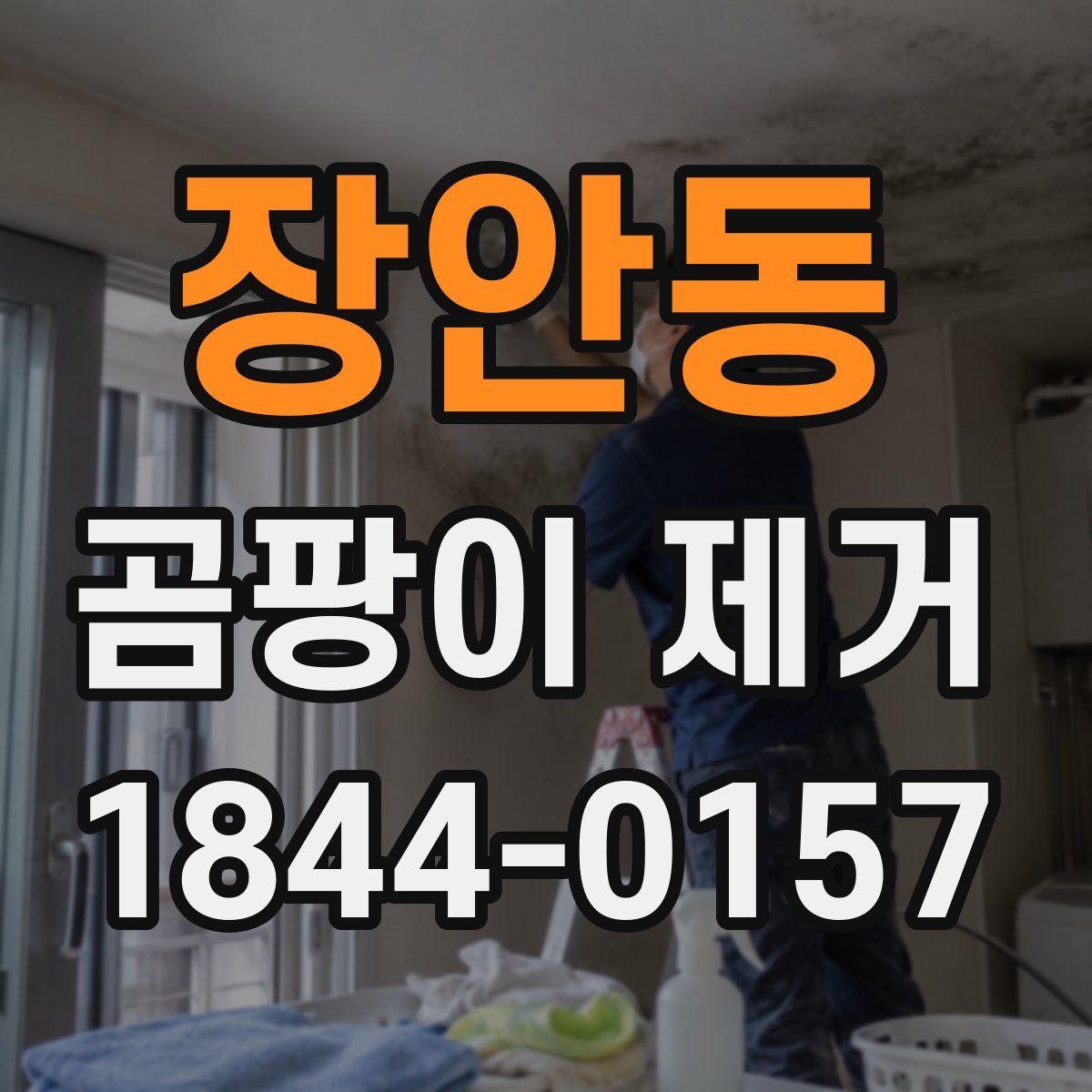 장안동 곰팡이 제거