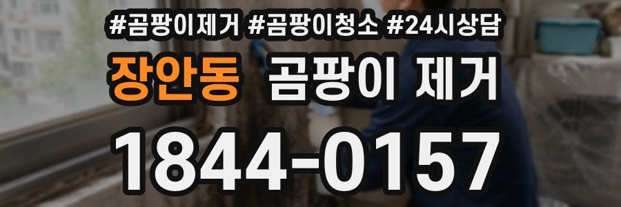 장안동 곰팡이 제거