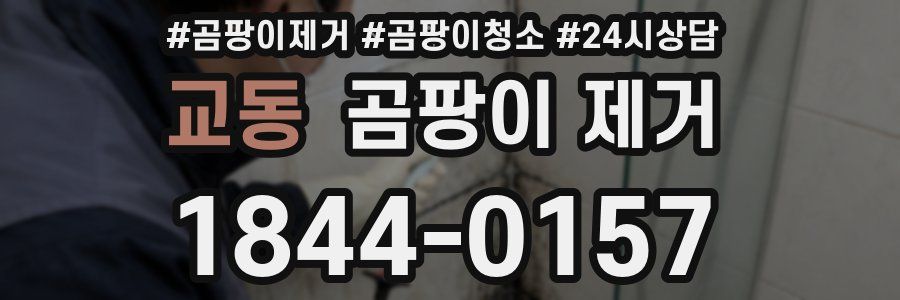 교동 곰팡이 제거