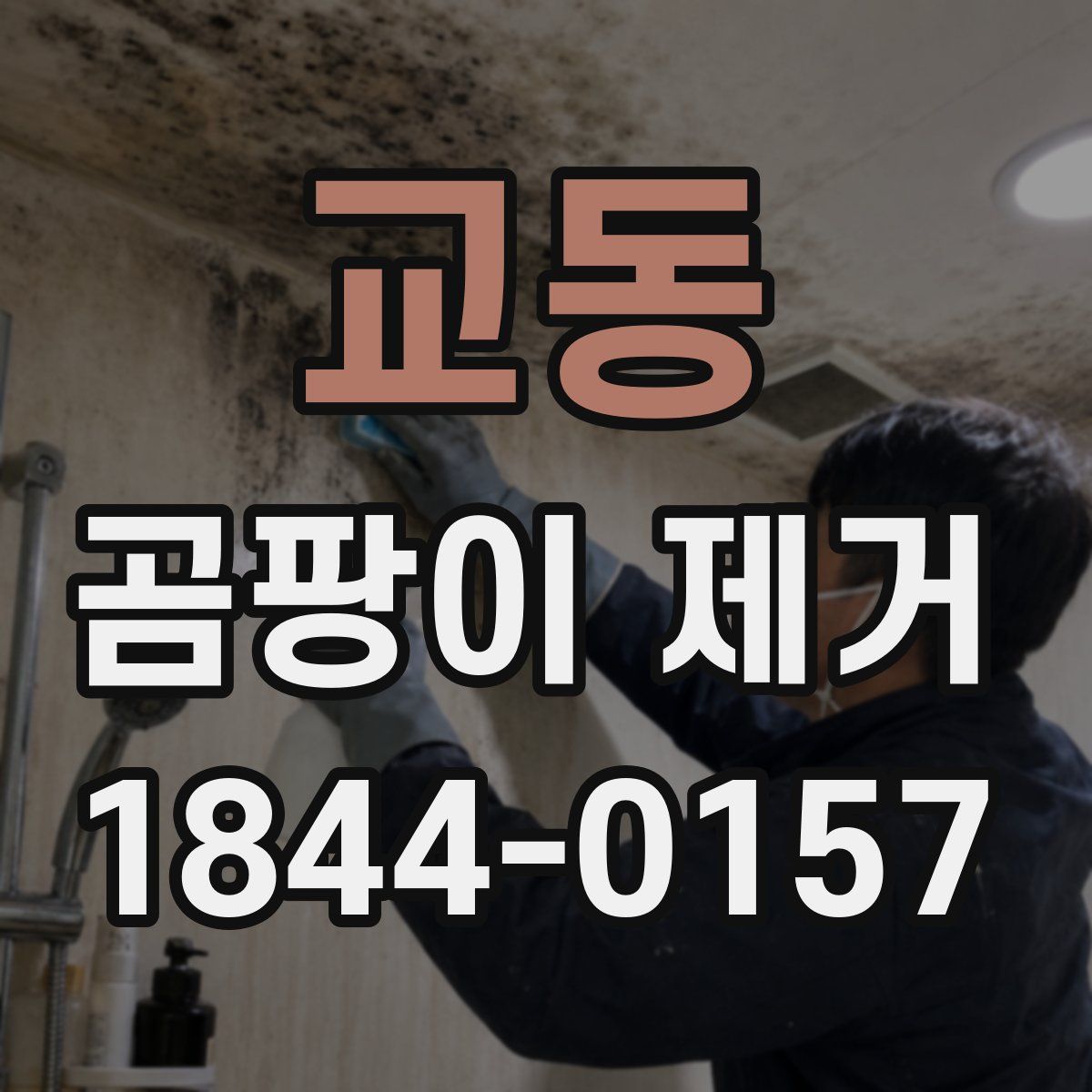 교동 곰팡이 제거
