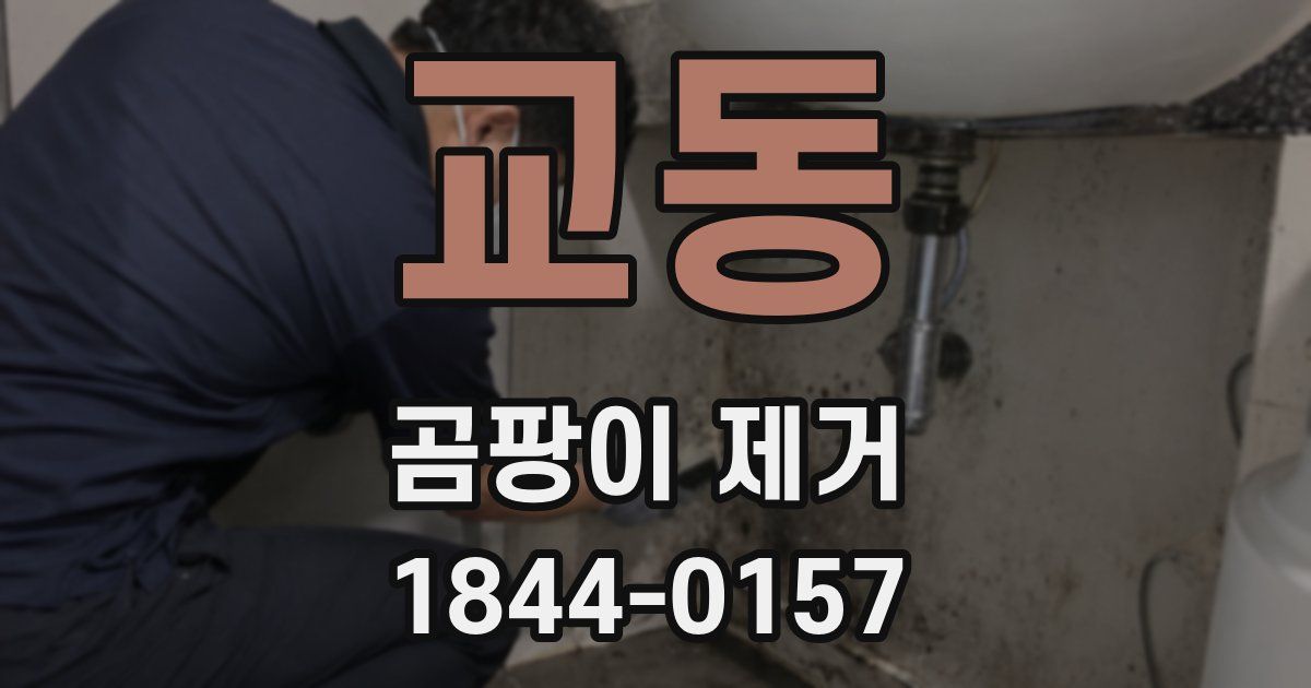교동 곰팡이 제거
