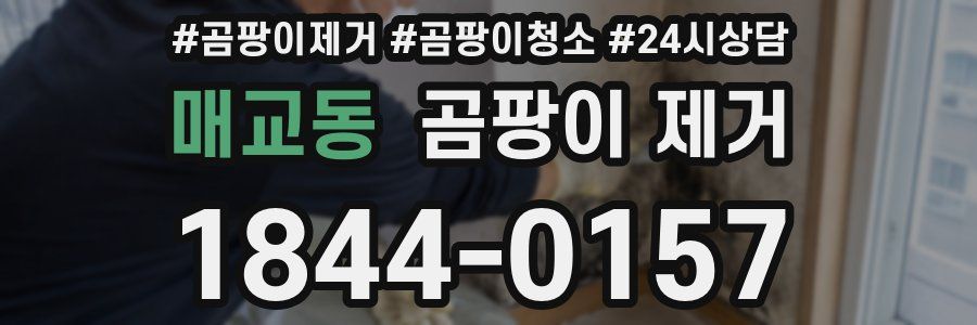 매교동 곰팡이 제거